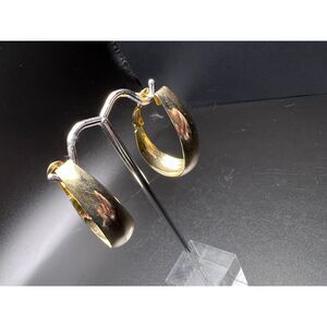 Elongated Oval Earrings